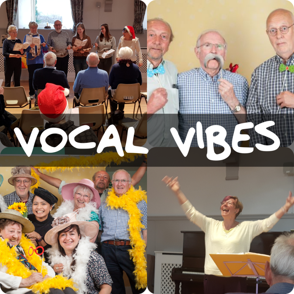 Vocal Vibes Singing Group